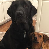 Diane Pochocki's photo