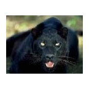 Cat Reed's photo