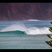 Terry Dearlove's photo