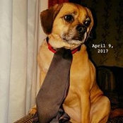 Maureen Exler's photo