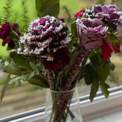 Hilz's photo