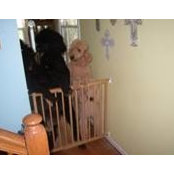 Pam McCracken's photo