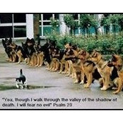Jody Taylor's photo