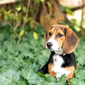 Wendy Welch's photo
