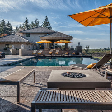 Contemporary Outdoor Entertaining / Pool House