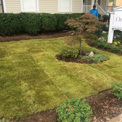 Cavalier Zoysia in Charlotte, NC - Outdoor Products