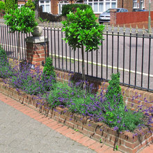 front garden