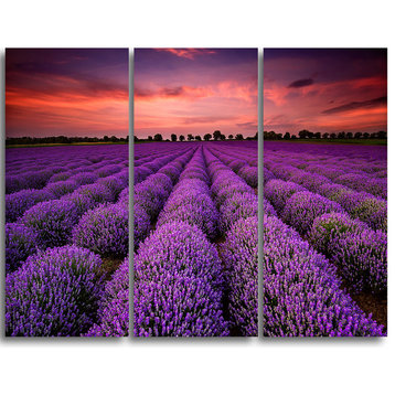 "Red Sunset Over Lavender Field" Wall Art, 3 Panels, 36"x28"