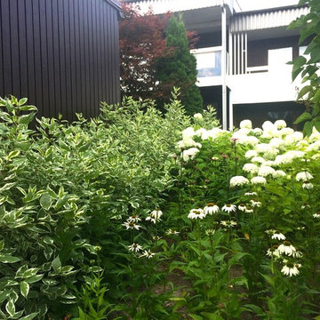 Nacka