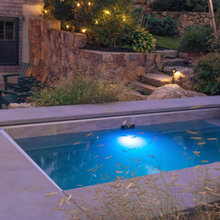 Back Yard / Pool