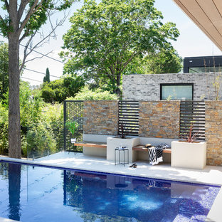 Exempel på en modern rektangulär gårdsplan med pool, med kakelplattor