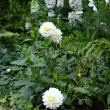 Garten in weiß