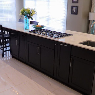 Alexandria, VA Modern Kitchen Remodel