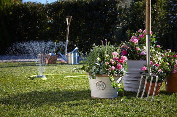 Современный Outdoor Living, Gardening and Irrigation