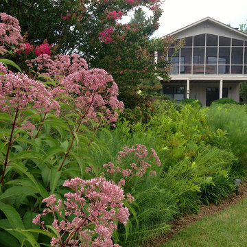 Lake near Fredericksburg, VA: Plant&Sustain for Clean Water