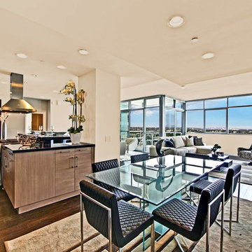 Marina Del Rey Condo