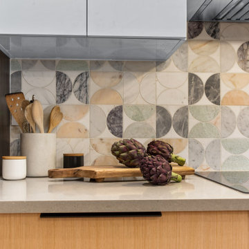 Historic Montclair Denver Kitchen Remodel