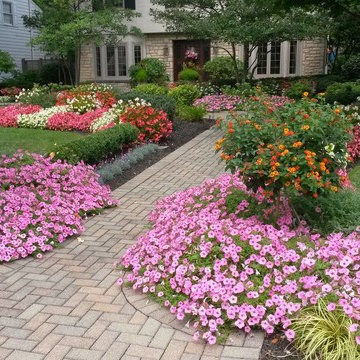 Virgin Landscape Projects