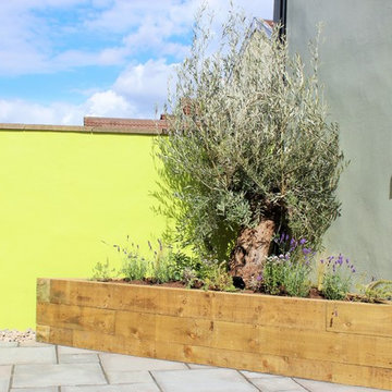 Urban City Garden