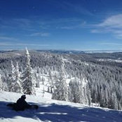 Mark Forgrave's photo
