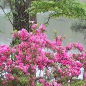 Martie Chastain-Brackett's photo