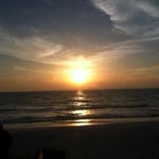 Brian Fox's photo