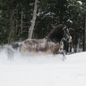 Sabine Duran's photo