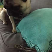 Maureen Kearns's photo
