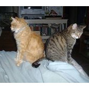 Donna Nowicki French's photo