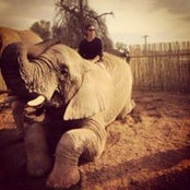 Foto de Dylan Coetsee
