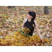 き猫招's photo