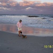 Denise Correll Vaughn's photo
