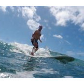 Marc Seguin's photo