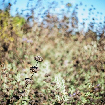 2018 Native Plant Garden Tour