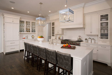 Kitchen - transitional kitchen idea in DC Metro