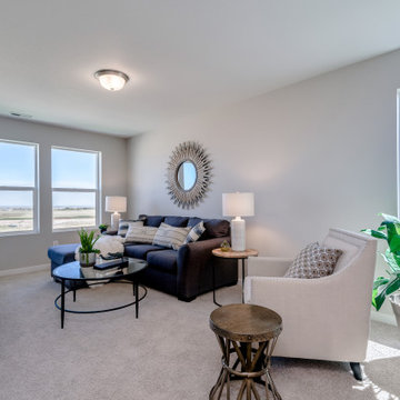 2020 Parade of Homes David Weekley Homes The Cahill