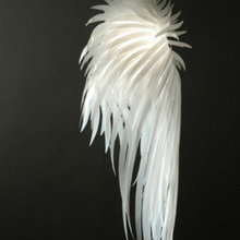 lamp shade