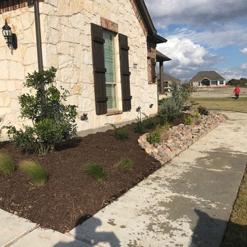 Native Texas