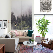 Living Room/Family Room