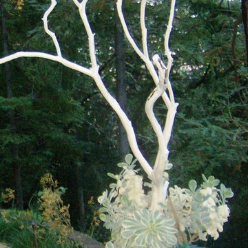 Los Gatos Redwoods Sculpture