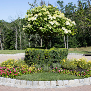 New City Planting Project