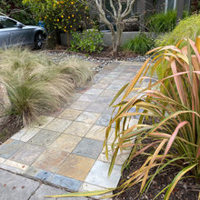 San Francisco Backyard