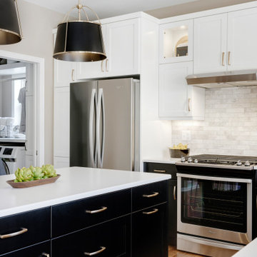 Bold Transitional Kitchen