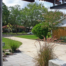 Landscaping Ideas