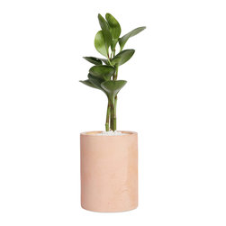 Concrete decor product - Products