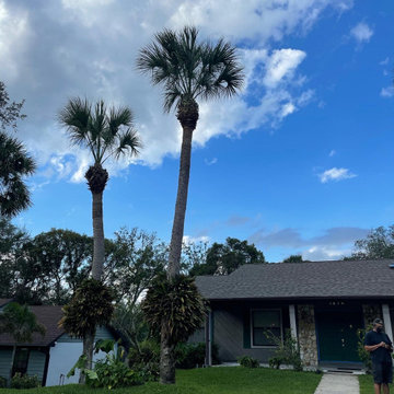 New Landscaping Jobs