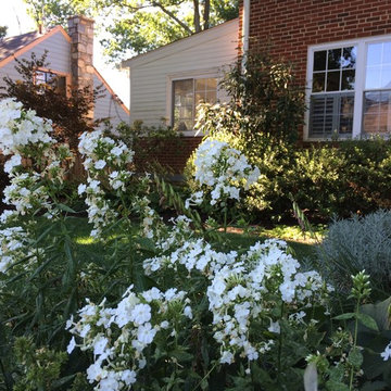 Skilled DIY Gardeners in Arlington!