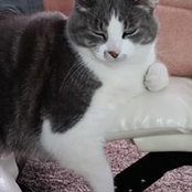 Linda Mccarty's photo
