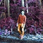 Tim Wangs foto