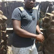 Brian Chibale's photo